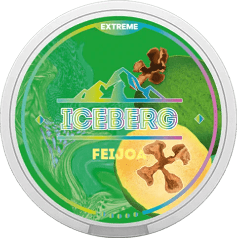 Iceberg Nicotone Pouches - Pack of 10 - Vaperdeals